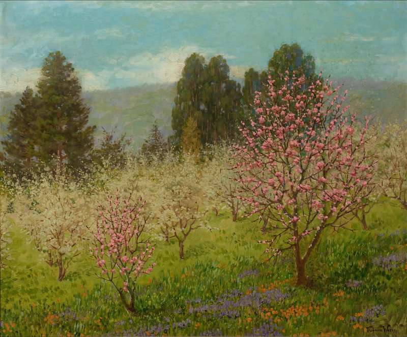Wores Theodore Blossom Time In Saratoga California 1909 canvas print