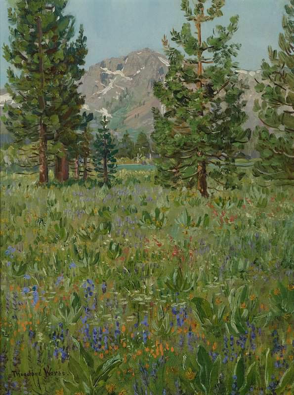Wores Theodore Mt. Tallac Lake Tahoe California canvas print
