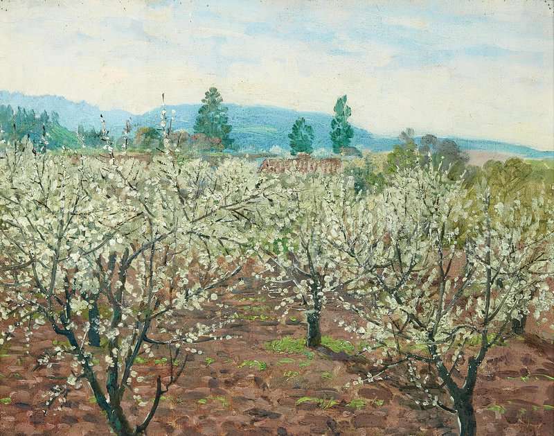 Wores Theodore Prune Blossom Time In Saratoga 1937 canvas print