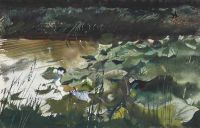Wyeth Andrew Lily Pads 1954