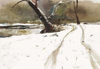 Wyeth Andrew Lower Falls In Snow 1996 canvas print
