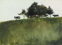 Wyeth Andrew Shades Trees 1961 canvas print