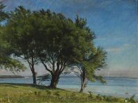 مشهد ساحلي زاتشو كريستيان بأشجار كبيرة بالقرب من الشاطئ 1908