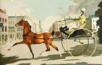 Zinkeisen Horse And Carriage