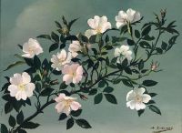 Zinkeisen White Roses canvas print