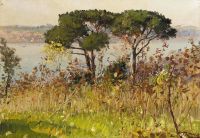 Zonaro Fausto Two Pines On The Hills Above Beylerbeyi Istanbul 1891 1910 canvas print