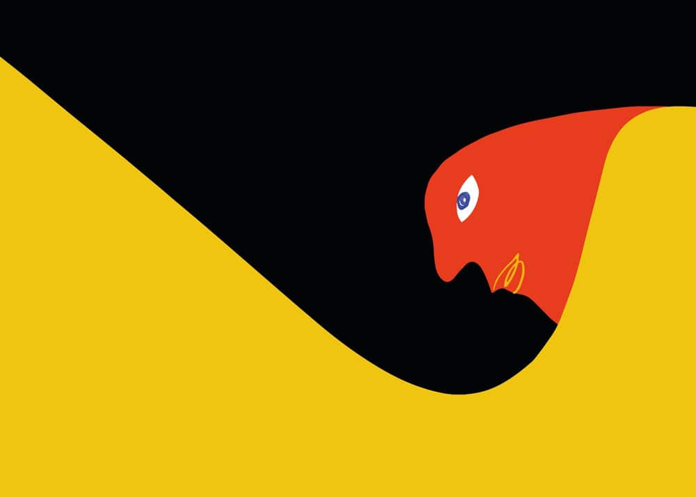 The Enigmatic Phoenix: A Dance of Color and Shadows premium reproduction