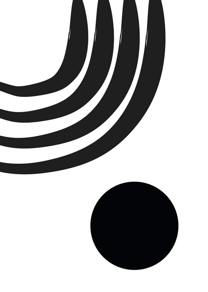 Monochrome Serenity: The Dance of Form premium reproduction