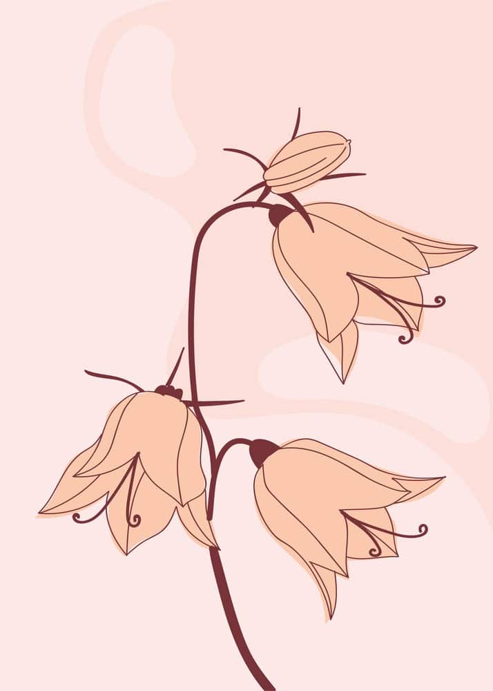 Ethereal Blossom Reverie premium reproduction