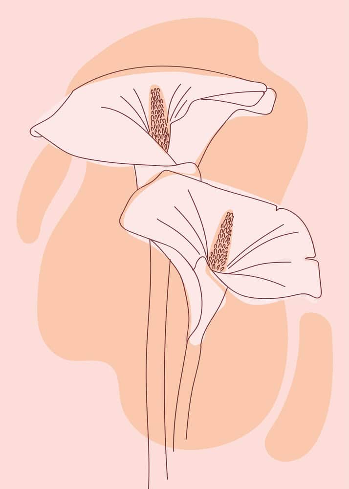 Whispering Blooms: Minimalist Floral Elegance premium reproduction