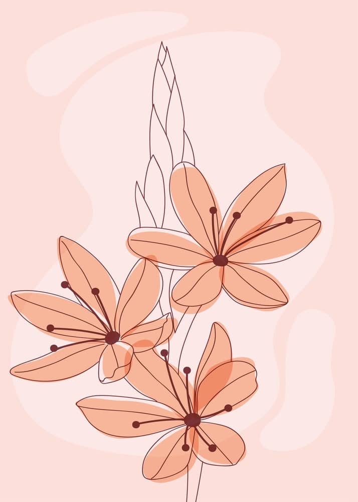 Floral Elegance: Contemporary Botanical Art premium reproduction