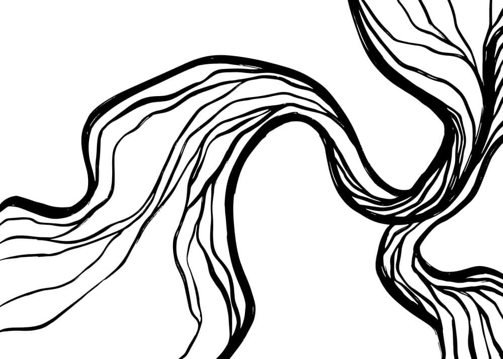 Ethereal Currents: Black and White Harmony premium reproduction