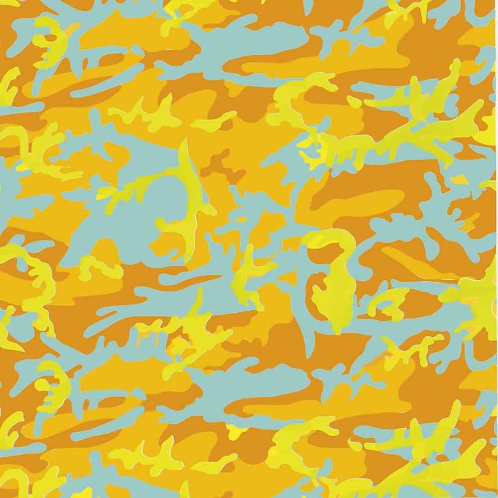 Andy Warhol - Camouflage Series Art premium reproduction