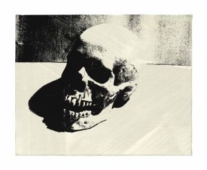 Andy Warhol - Iconic Skull Art wall art