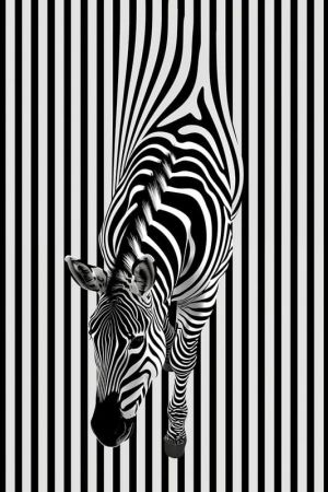 Zebra in Illusion: Op Art Harmony wall art
