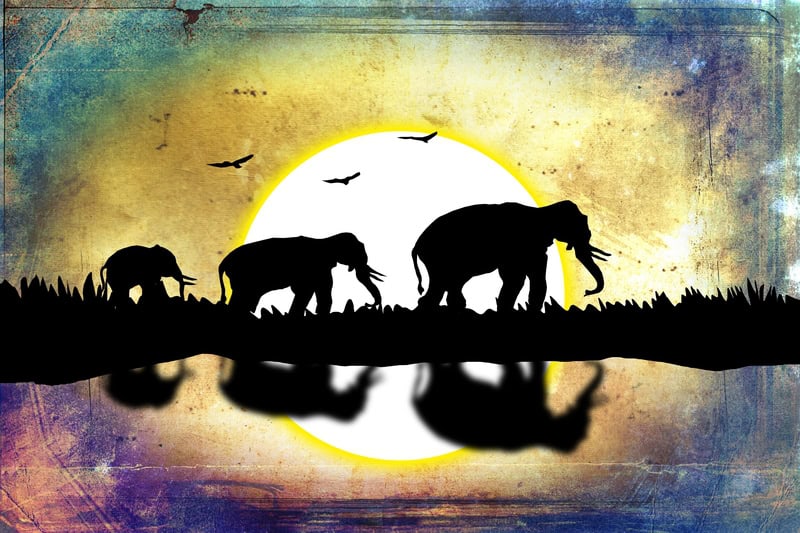 Elephant Odyssey at Dusk premium reproduction