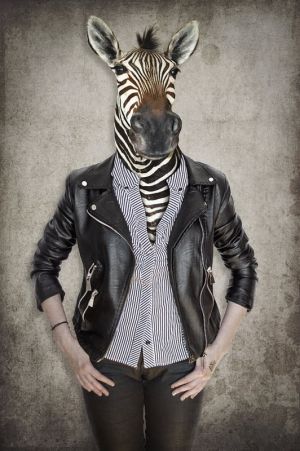 Urban Zebra: Identity in Modernity wall art