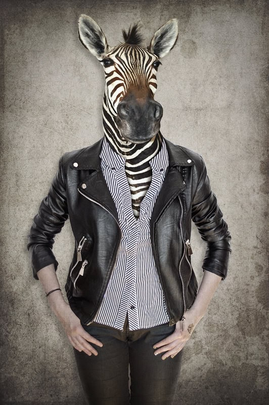 Urban Zebra: Identity in Modernity premium reproduction