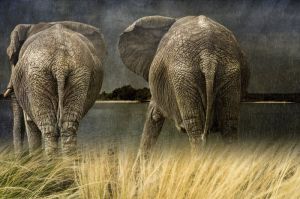 Majestic Giants at Twilight wall art