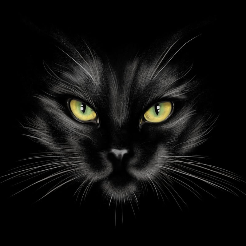 Enigmatic Feline: Midnight Gaze premium reproduction