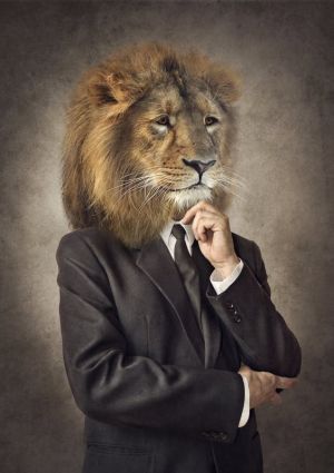 The Contemplative Lion wall art