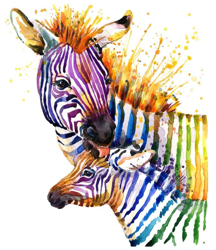 Chromatic Harmony: Zebras in Splendor premium reproduction