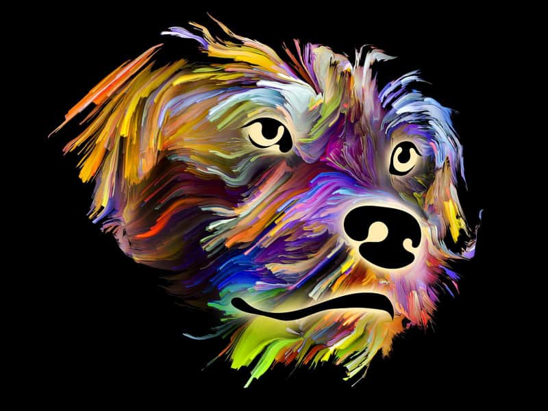 Chromatic Canine Expressionism premium reproduction