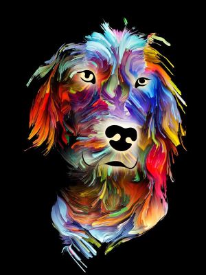 Chromatic Canine Portrait wall art