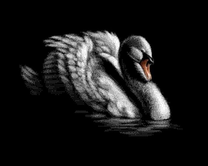Majestic Tranquility: The Graceful Swan premium reproduction