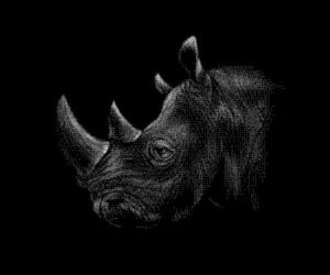 Silent Strength: Majestic Rhino Portrait wall art