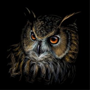 Majestic Owl - Nocturnal Wisdom Art wall art