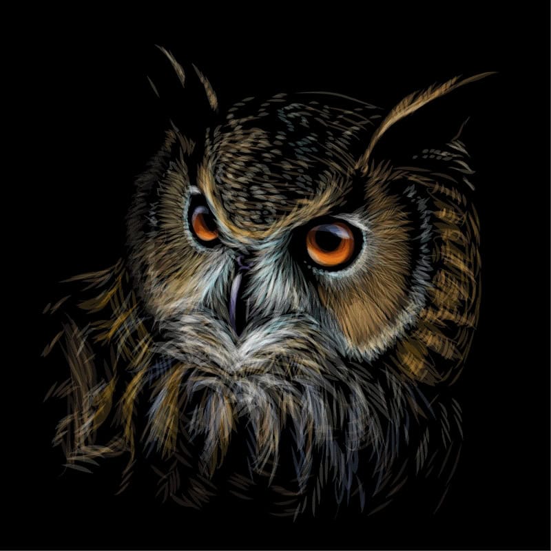Majestic Owl - Nocturnal Wisdom Art premium reproduction