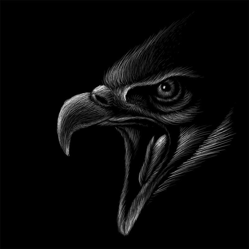 Majestic Raptor: The Fierce Gaze premium reproduction