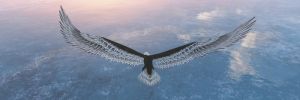 Majestic Soar: Aerial Reflections wall art