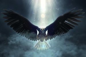 Majestic Eagle in Celestial Flight wall art
