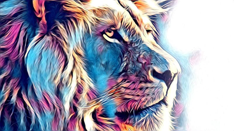 Majestic Lion: Vibrant King Portrait premium reproduction