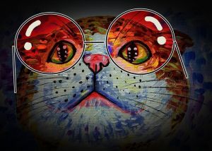 Feline Whimsy: Reflections in Red wall art