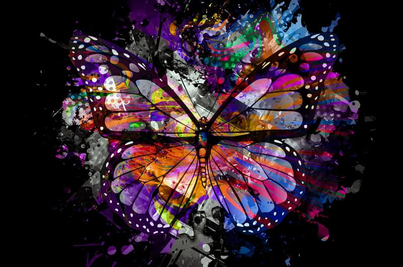 Kaleidoscopic Wings: A Symphony of Color premium reproduction