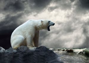 Majestic Solitude: The Polar Emissary wall art