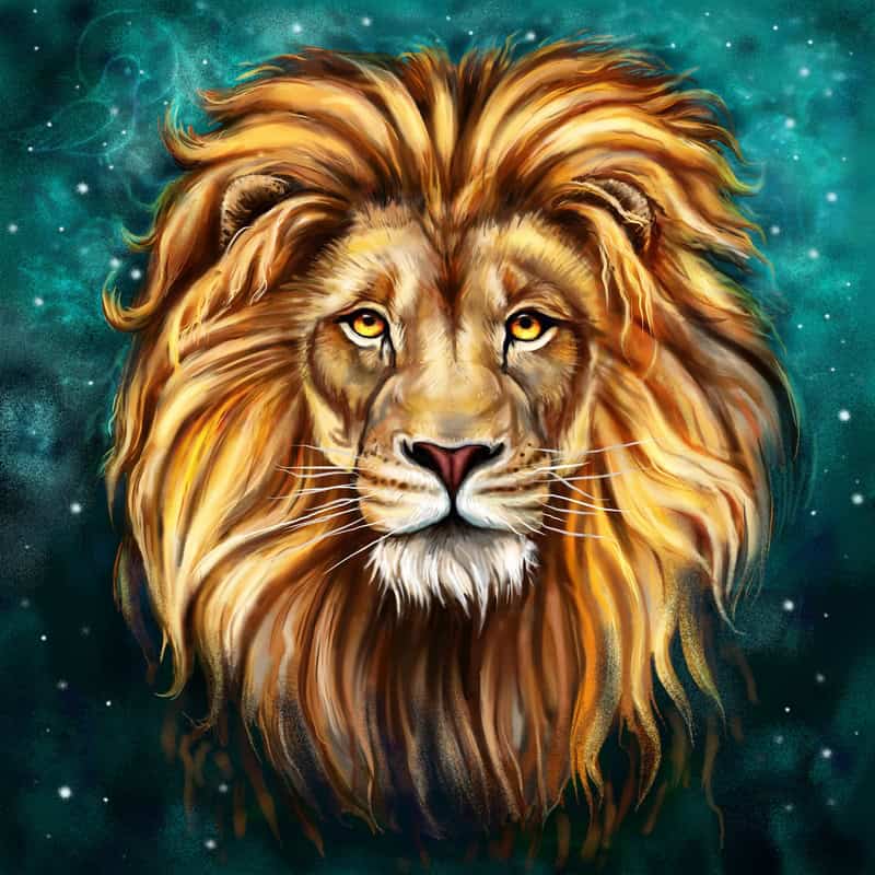 Majestic Beast: Celestial Lion Portrait premium reproduction