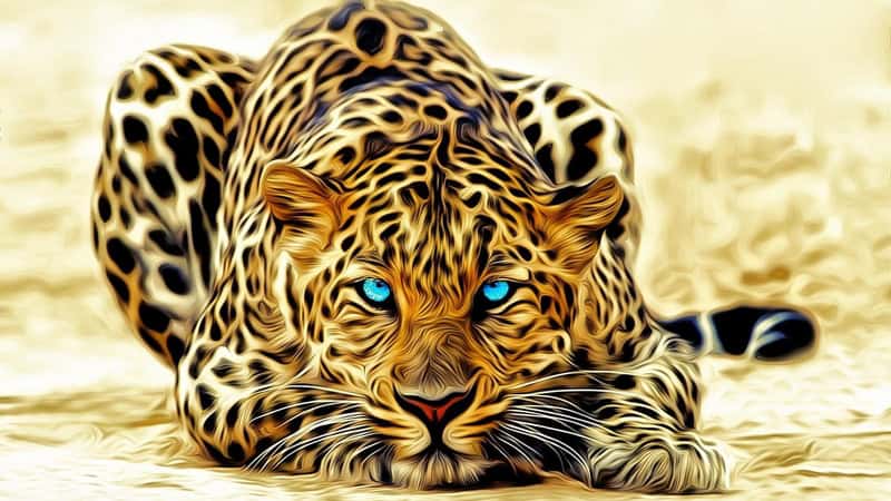 Majestic Gaze: Leopard in Focus premium reproduction