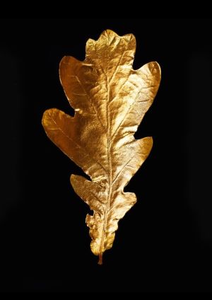 Golden Elegance: Nature's Majestic Leaf wall art