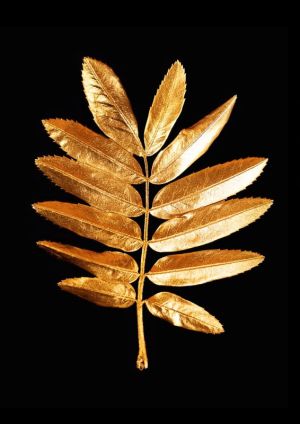 Golden Elegance: Nature's Gilded Leaf wall art