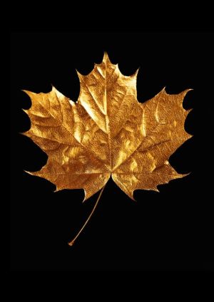 Golden Elegance: The Gilded Maple Leaf wall art