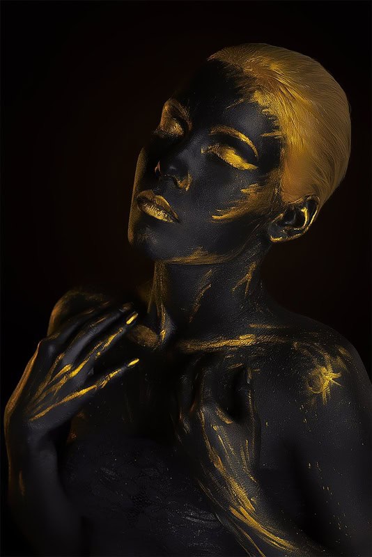 Gilded Serenity: A Study in Contrast premium reproduction
