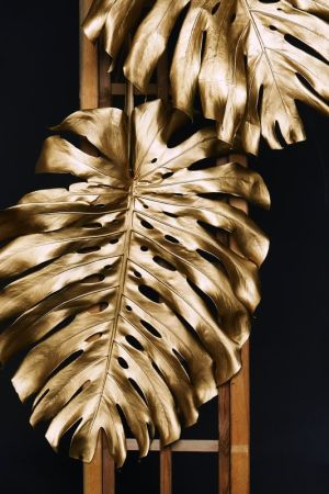 Golden Monstera Elegance - Botanical Art wall art
