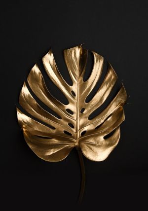 Monstera Aureate Elegance wall art