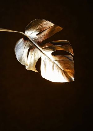 Monstera Elegance: Golden Silhouette wall art