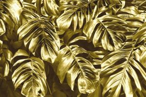 Golden Elegance: Monstera Harmony wall art