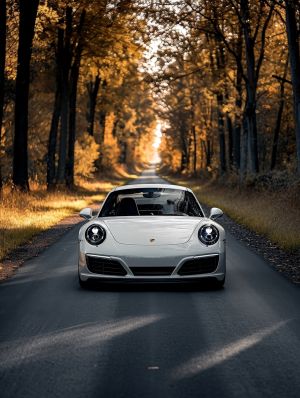 Elegance in Motion: A Road's Journey wall art